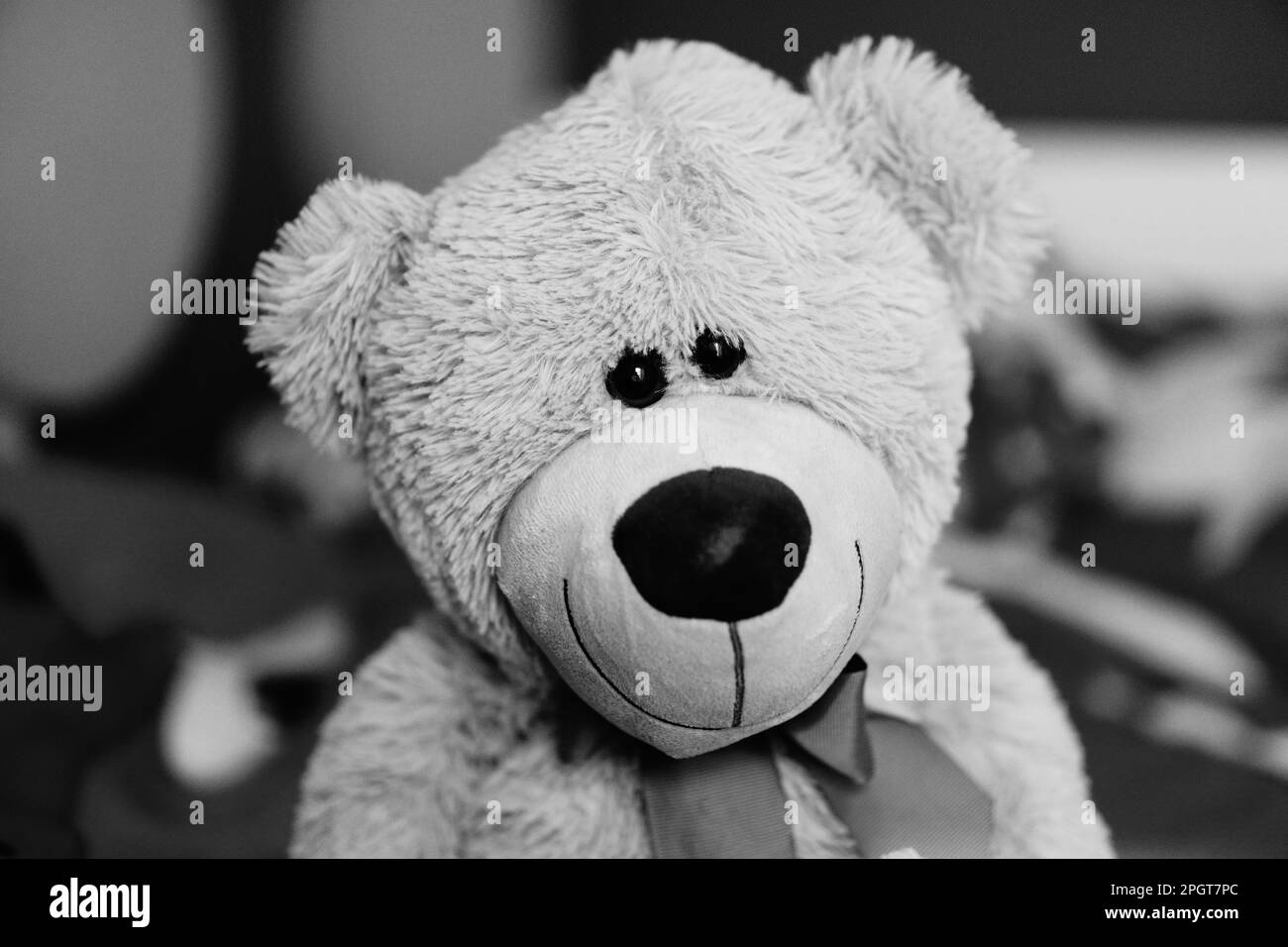 Soft toy teddy bear Black and White Stock Photos & Images - Alamy