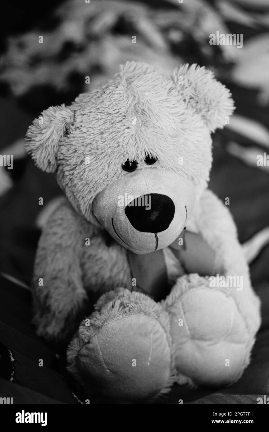 Cuddling teddy bear Black and White Stock Photos & Images - Alamy