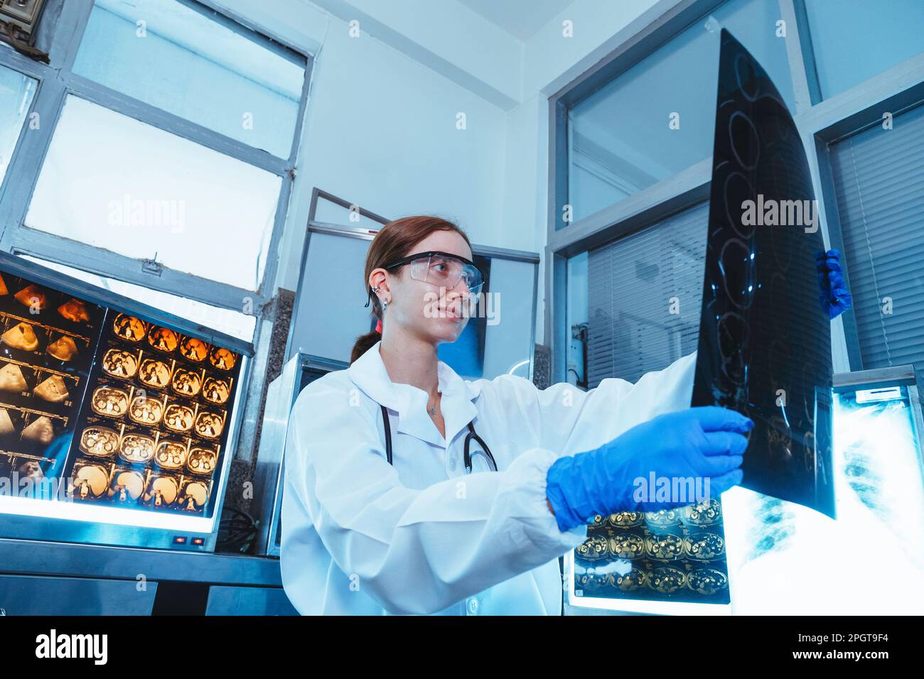 Female medical radiologist doctor looking head and brain xray film