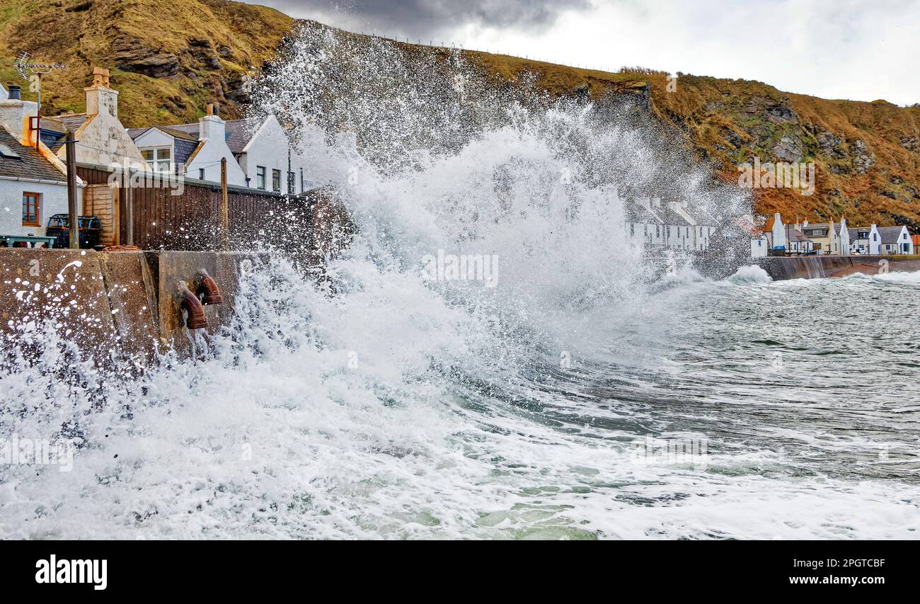 Pennan village Aberdeenshire Scotland a very high tide and huge waves and foam crashing onto the seawall in front of the houses Stock Photo