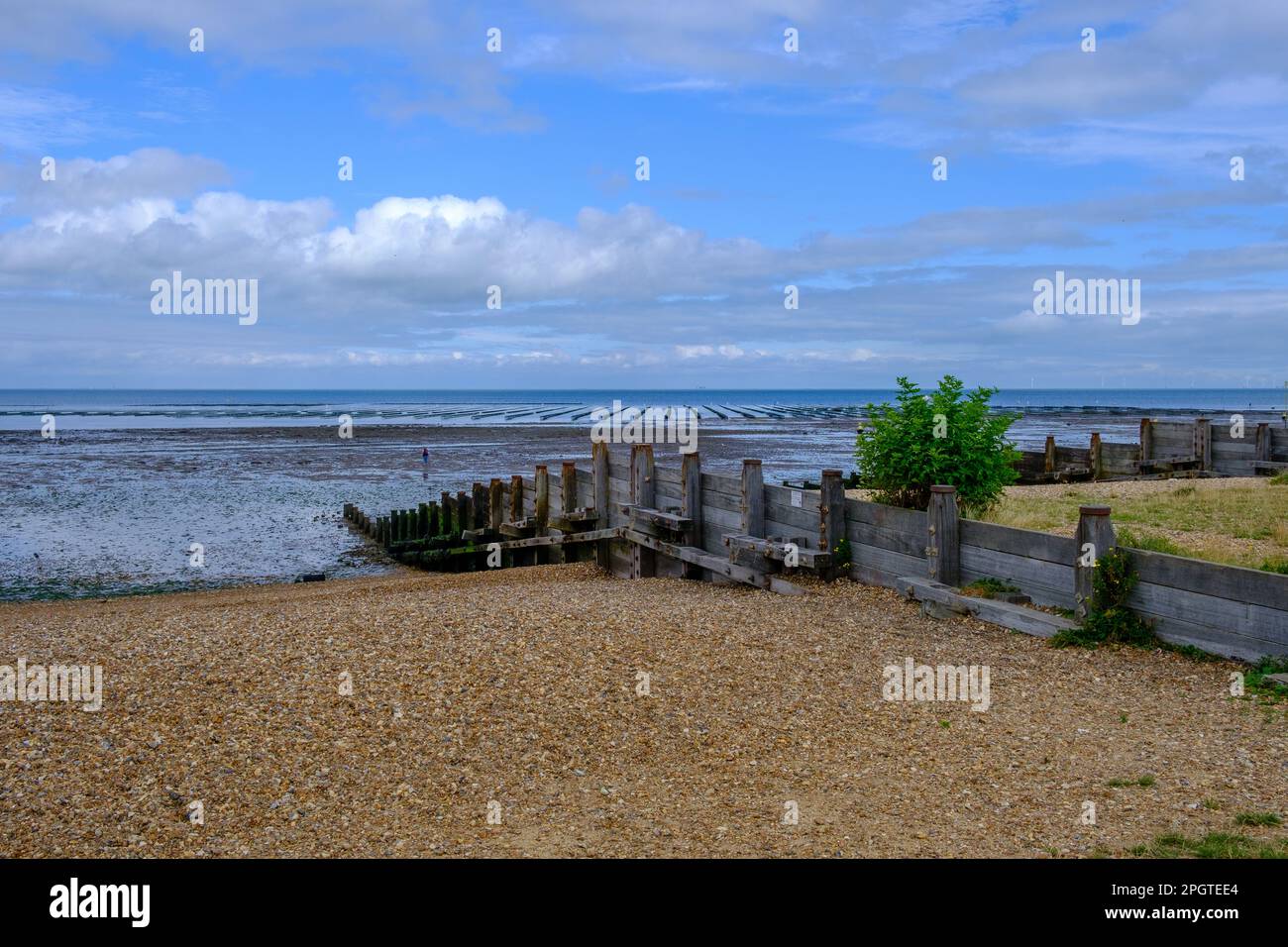 Wooden groynes on shingle beach at Whitstable West Beach, north-east Kent coast, England, UK. Stock Photo