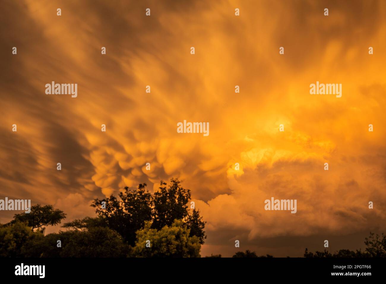Clouds, impressive in yellow, cumulonimbus cloud floating low above the city of Johannesburg. Johannesburg, South Africa Stock Photo