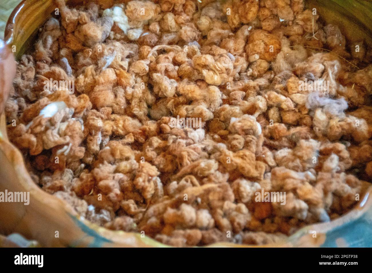 Process of how cotton is made Guatemala Stock Photo Alamy