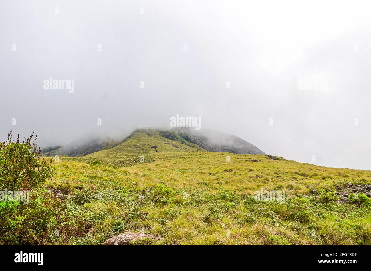 Rocky hills of Munnar, Kerala, India Stock Photo - Alamy