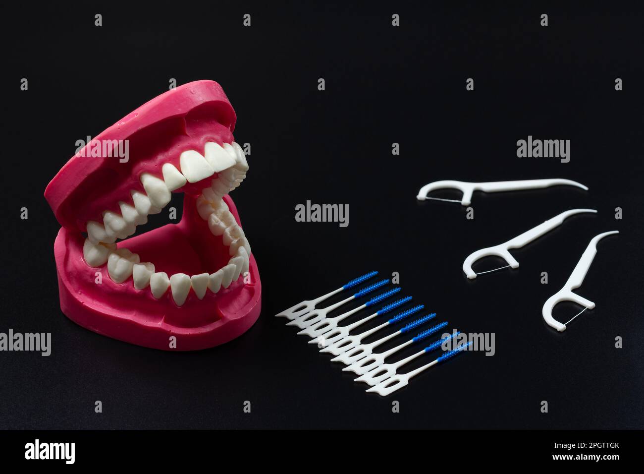 Human jaw layout, interdental toothpick brushes and flossing toothpicks