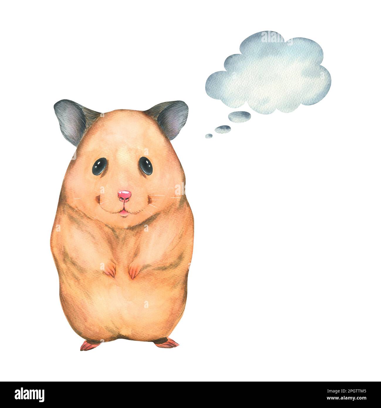 Хомяк рисунок