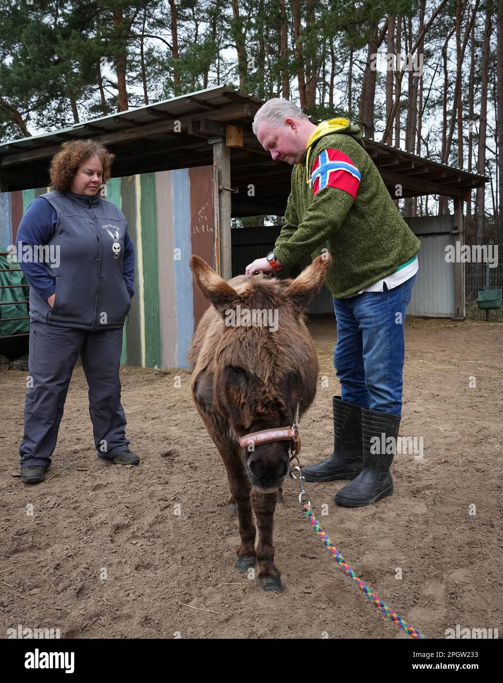21 March 2023, Brandenburg, Schönwalde/Ot Paaren-Glien: Veterinarian ...
