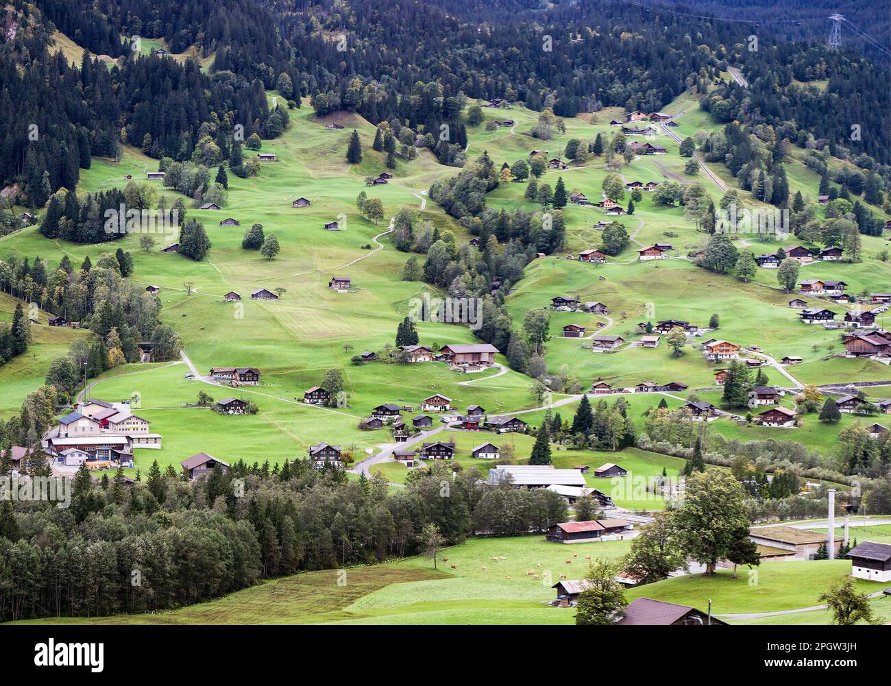 Beautiful Grindelwald village with traditional chalets in the green
