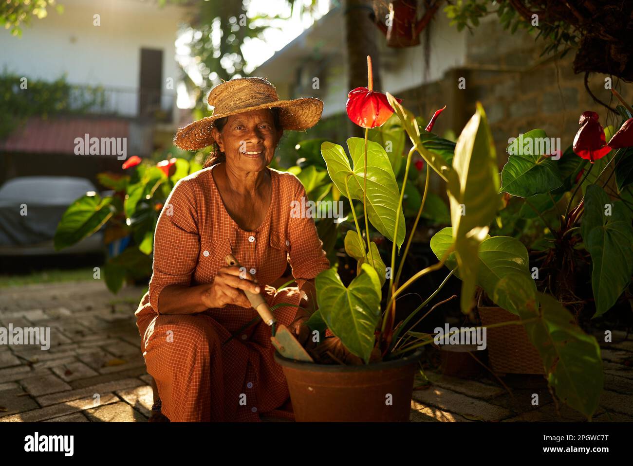 Elderly Indian female farmer smiles in orchard planting flowers in pots