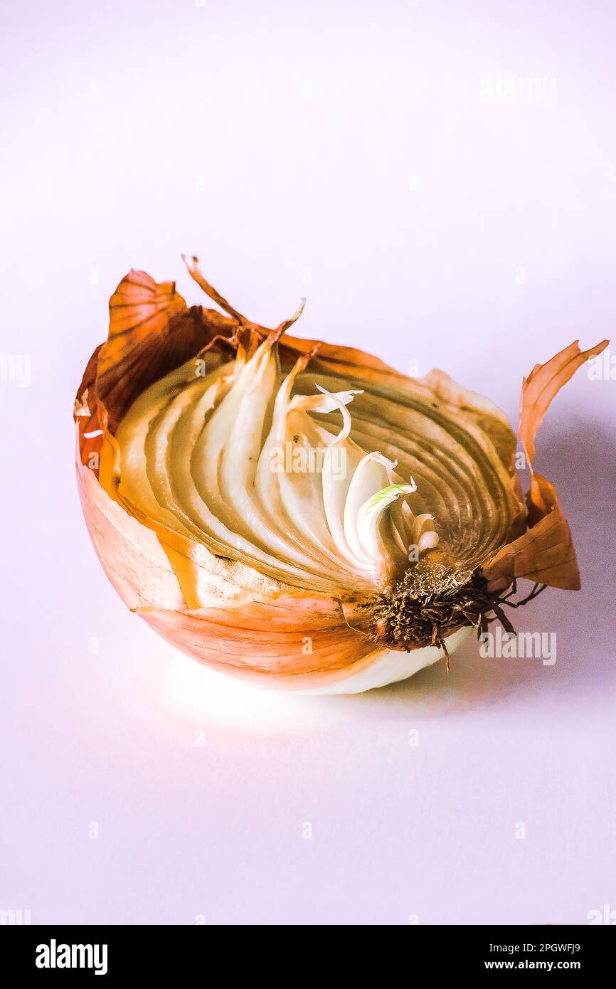 Rotten red onion hi-res stock photography and images - Alamy