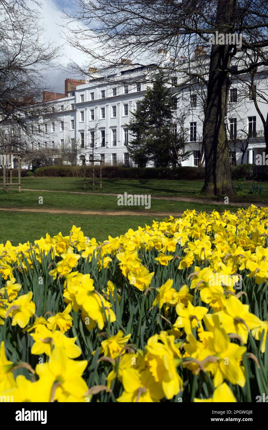 Clarendon Square, Leamington Spa, Warwickshire, England, UK Stock Photo
