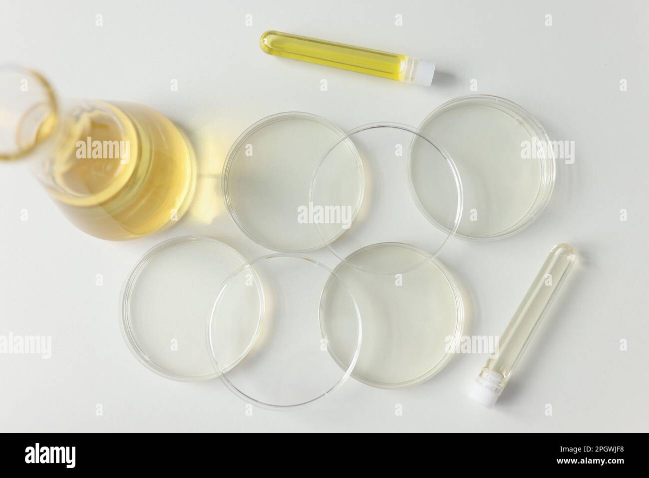 Lab glassware flask and Petri dishes on table in office Stock Photo