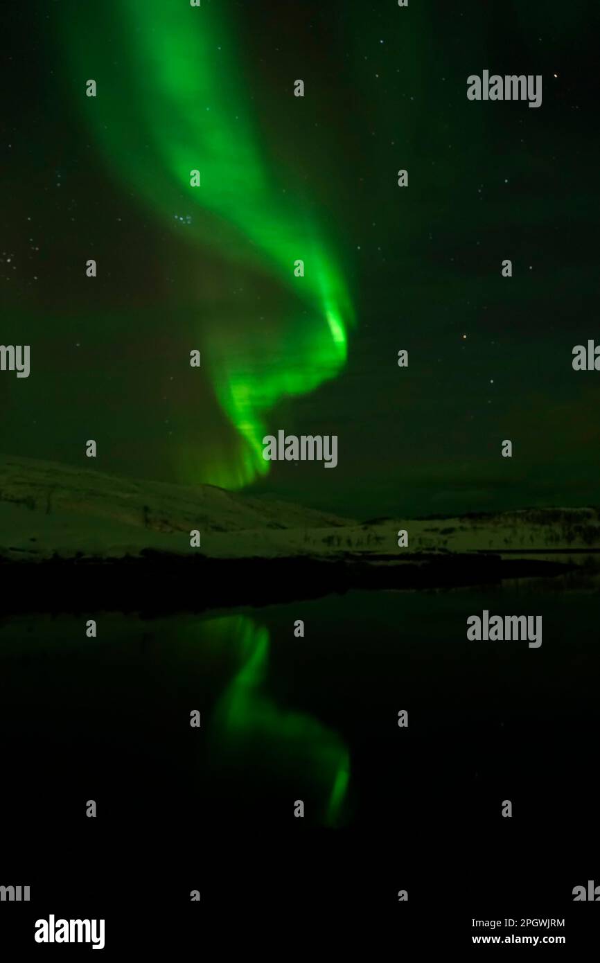 Northern lights in tromso aurora hi-res stock photography and images ...