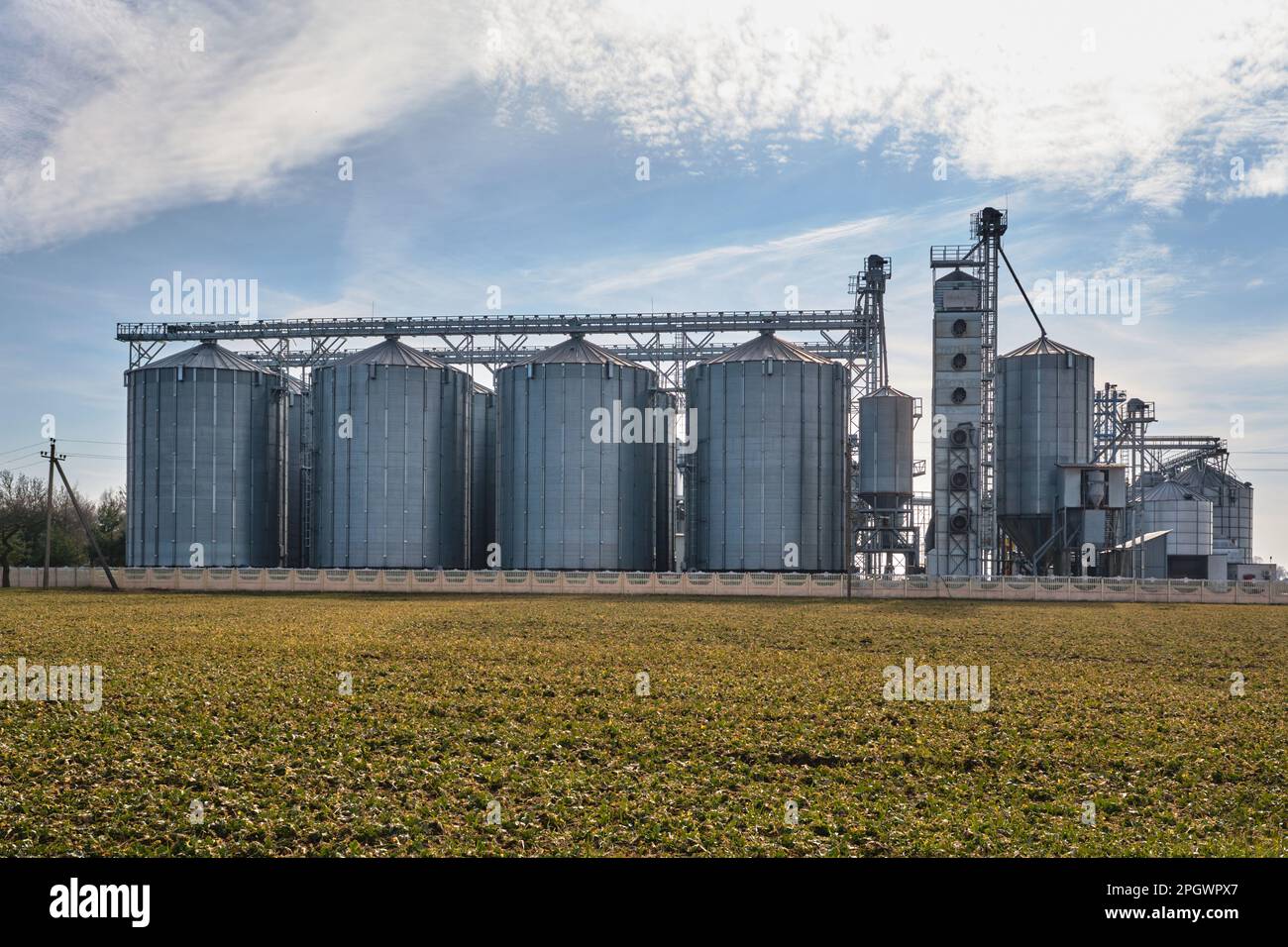 agro silos on agroindustrial complex and grain drying and seeds