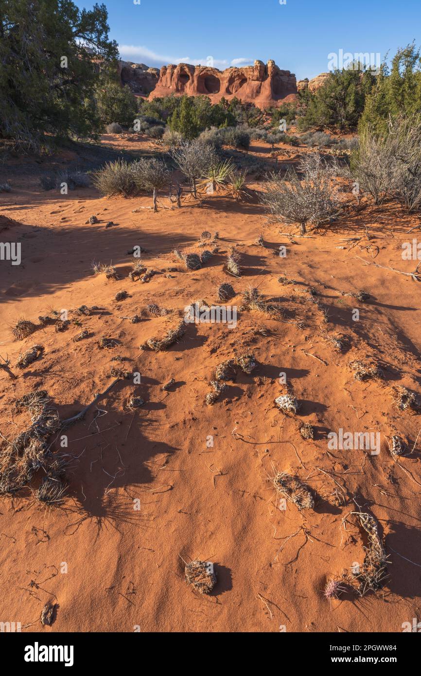 hiking the broken arch trail in arches national park in utah, usa Stock