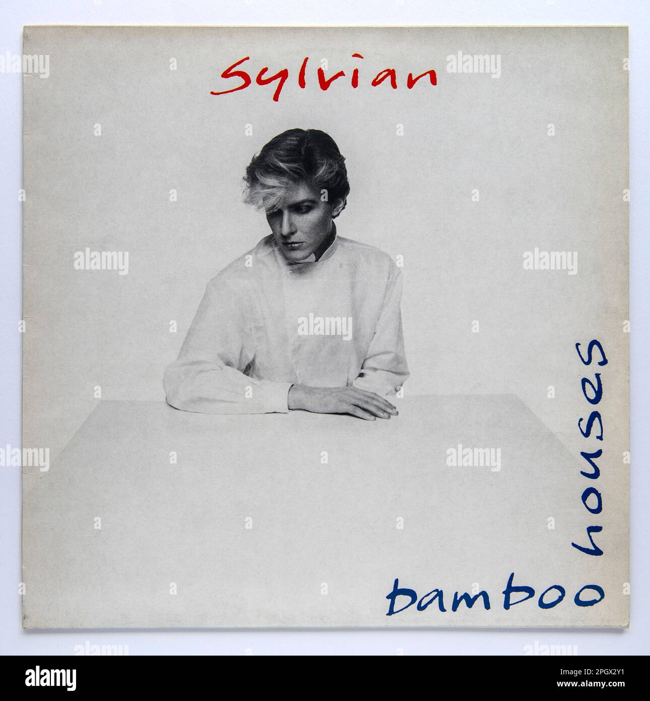 david sylvian Bamboo Houses サイン入り 12インチ（David