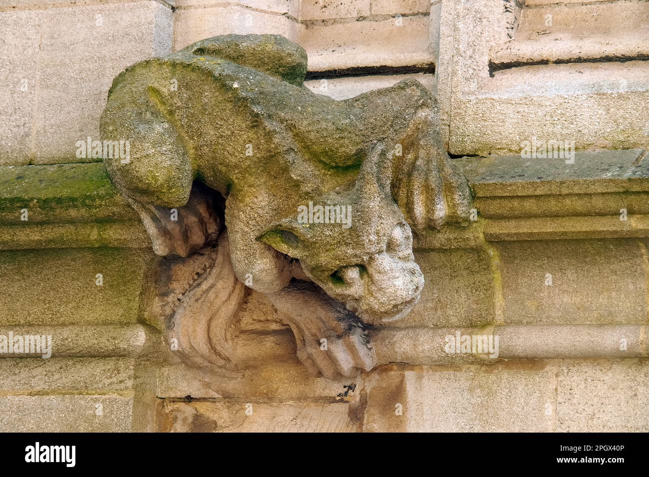 statue on the church wall, University Church of St Mary the Virgin, Oxford, Anglia, United