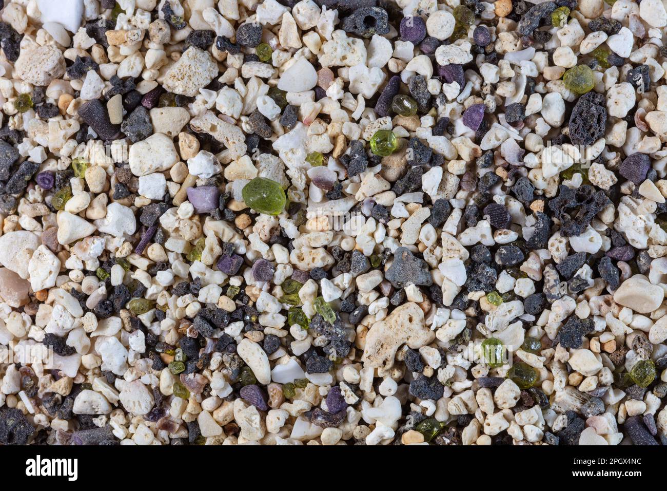 Coral and basalt sand with olivine, South Point, Island of Hawaii Stock Photo