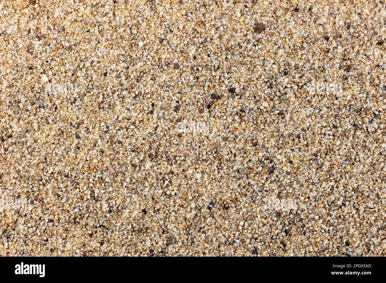 Fine grained dune sand derived from the Allison Member of the Menefee Formation (Cretaceous period), McKinley County, New Mexico Stock Photo