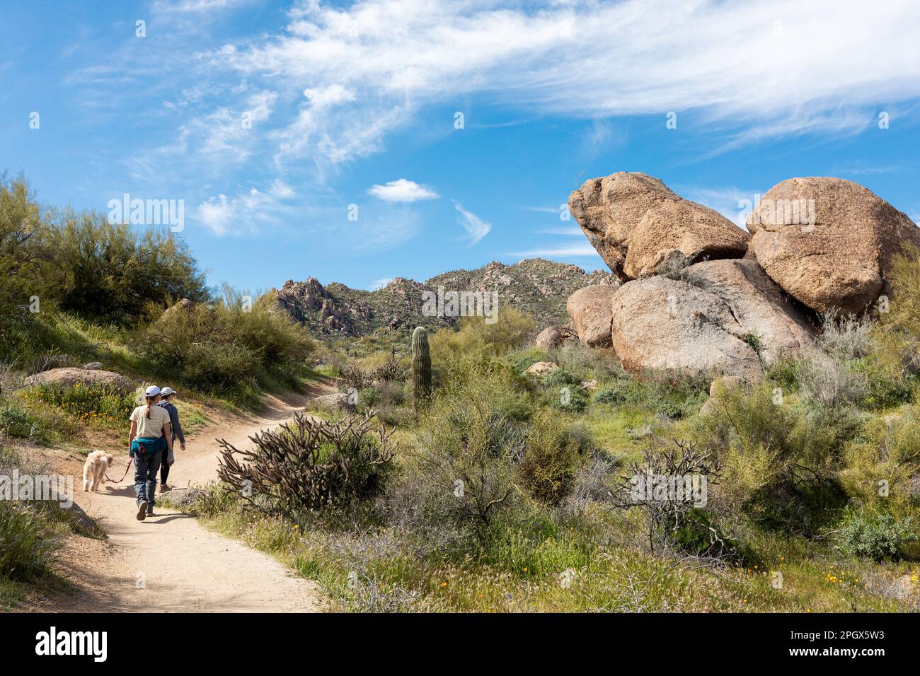 Hiking in McDowell Sonoran Preserve, Scottsdale, Arizona, USA. Stock Photo