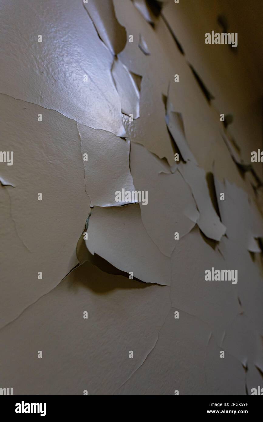 Old lacquer paint peeling out of wall in old abandoned hospital Stock
