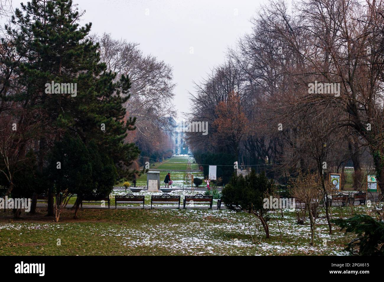 Winter scene in Cismigiu park Bucharest. Cismigiu Gardens located in ...