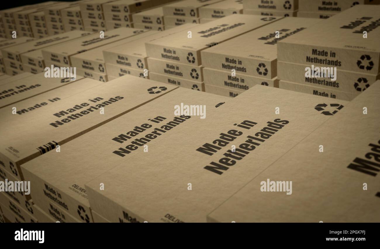 Made in Netherlands box production line. Manufacturing and delivery