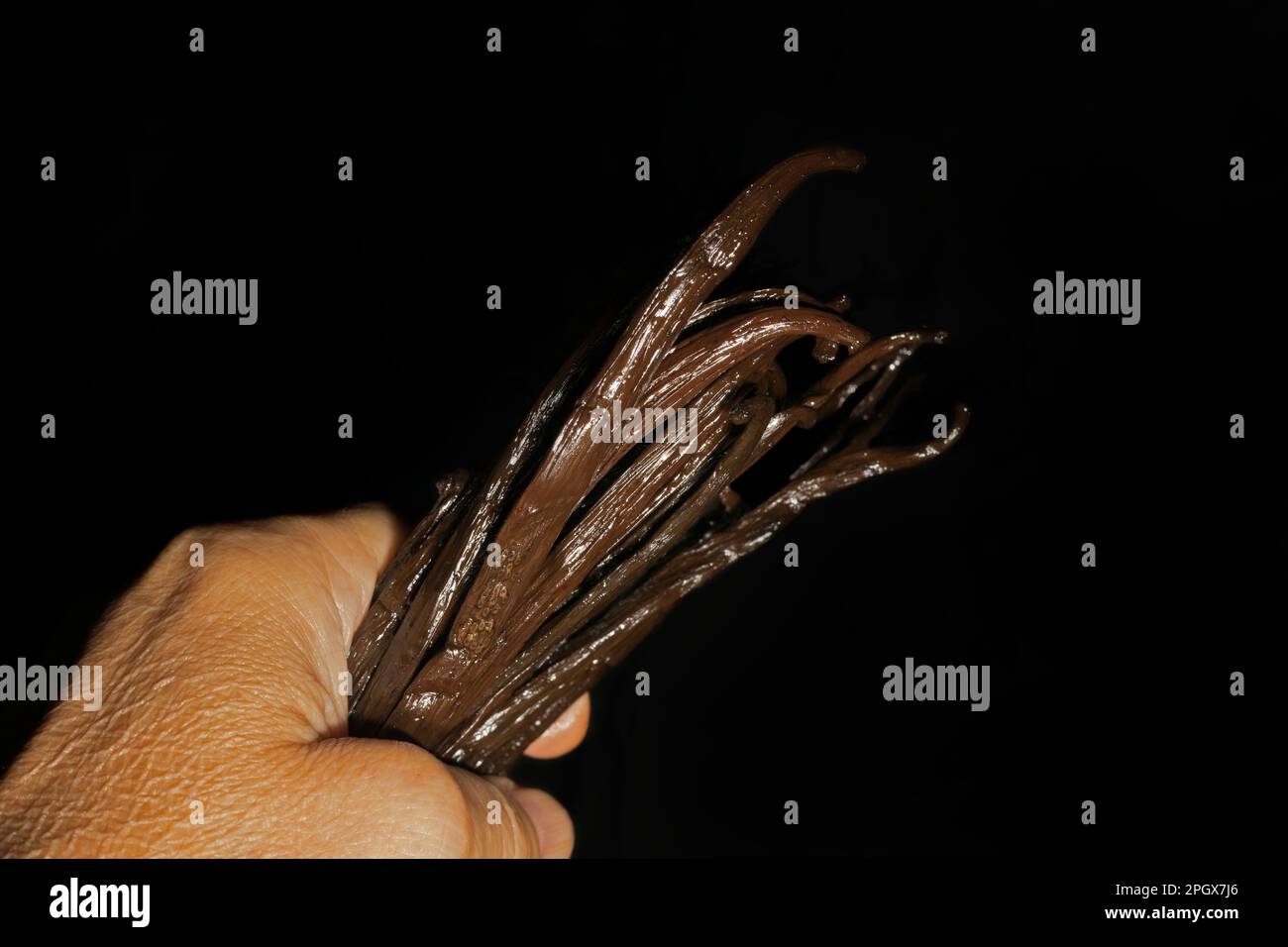 Vanilla planifolia, dried vanilla beans, Mauritius Stock Photo Alamy