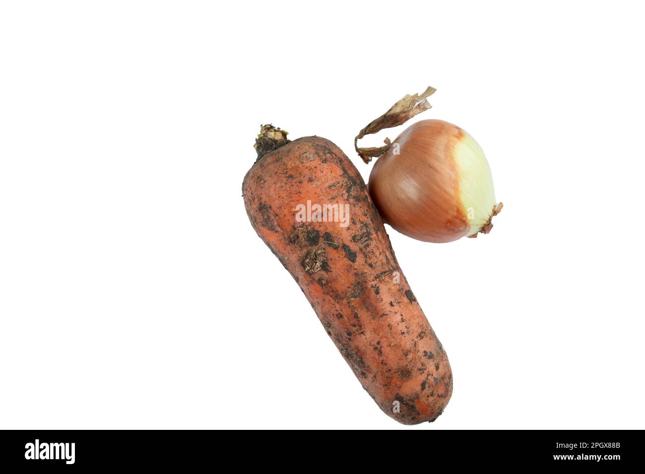dirty onions and carrots on a white background Stock Photo