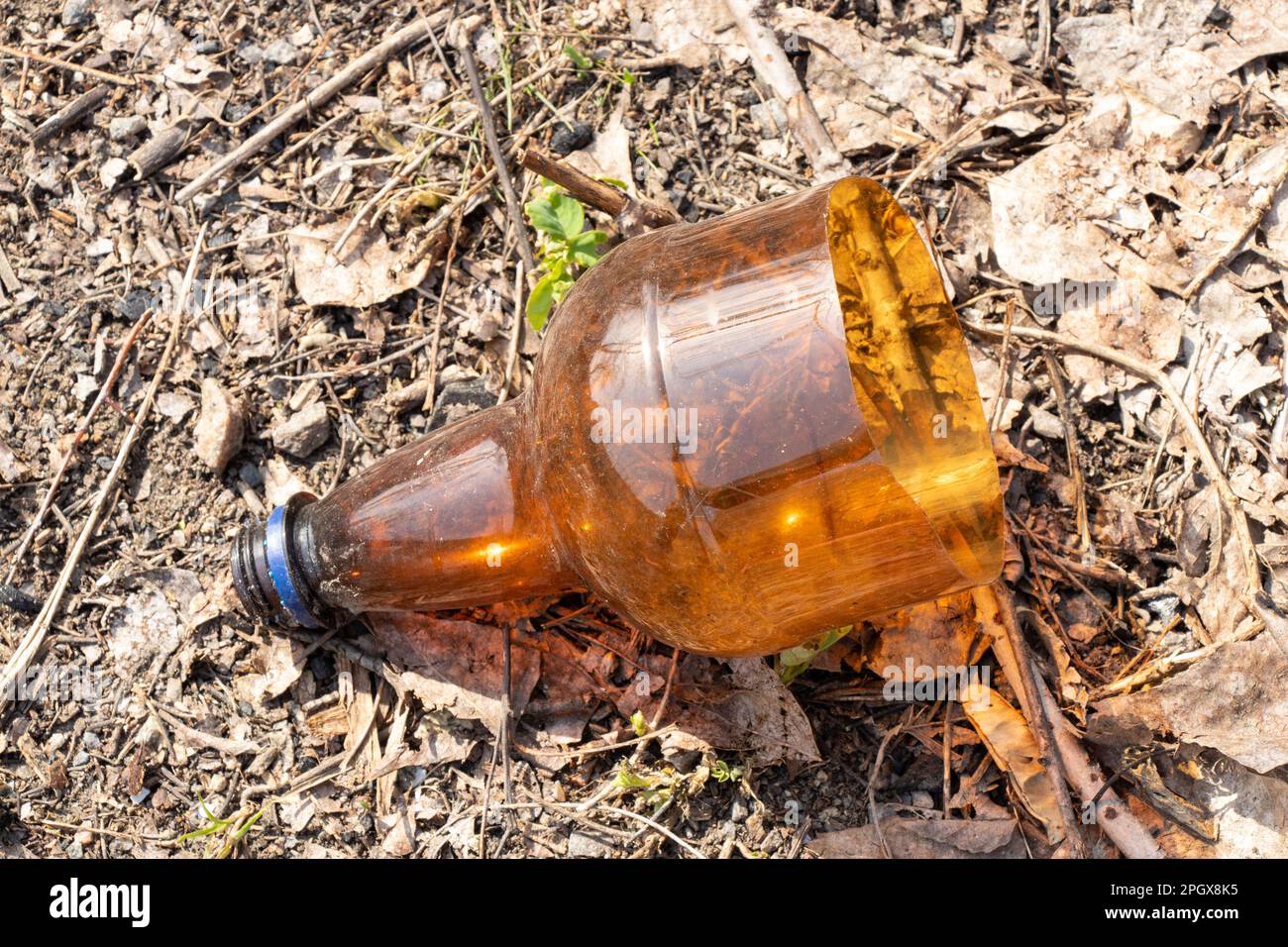 a plastic bottle lies on the grass, trash in nature Stock Photo