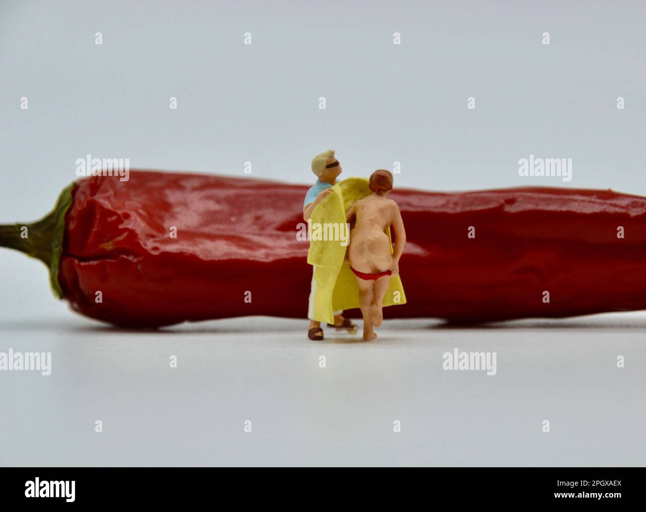 Voyeur concept scene with miniature toy man helping a nude woman with her bottom exposed change her clothes behind a red hot chilli Stock Photo