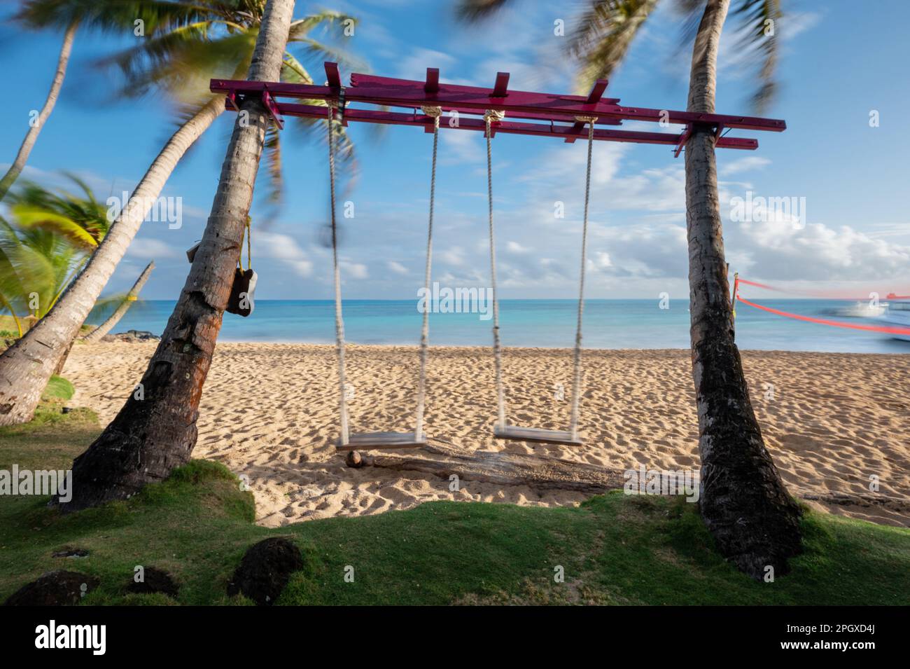 Two swings on palm tree beach with smooth sea and sky background Stock Photo