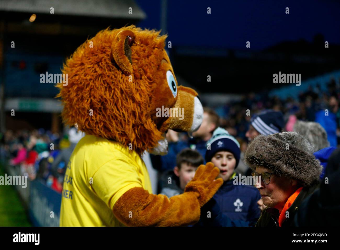 RDS Arena, Ballsbridge, Dublin, Ireland. 24th Mar, 2023. United Rugby