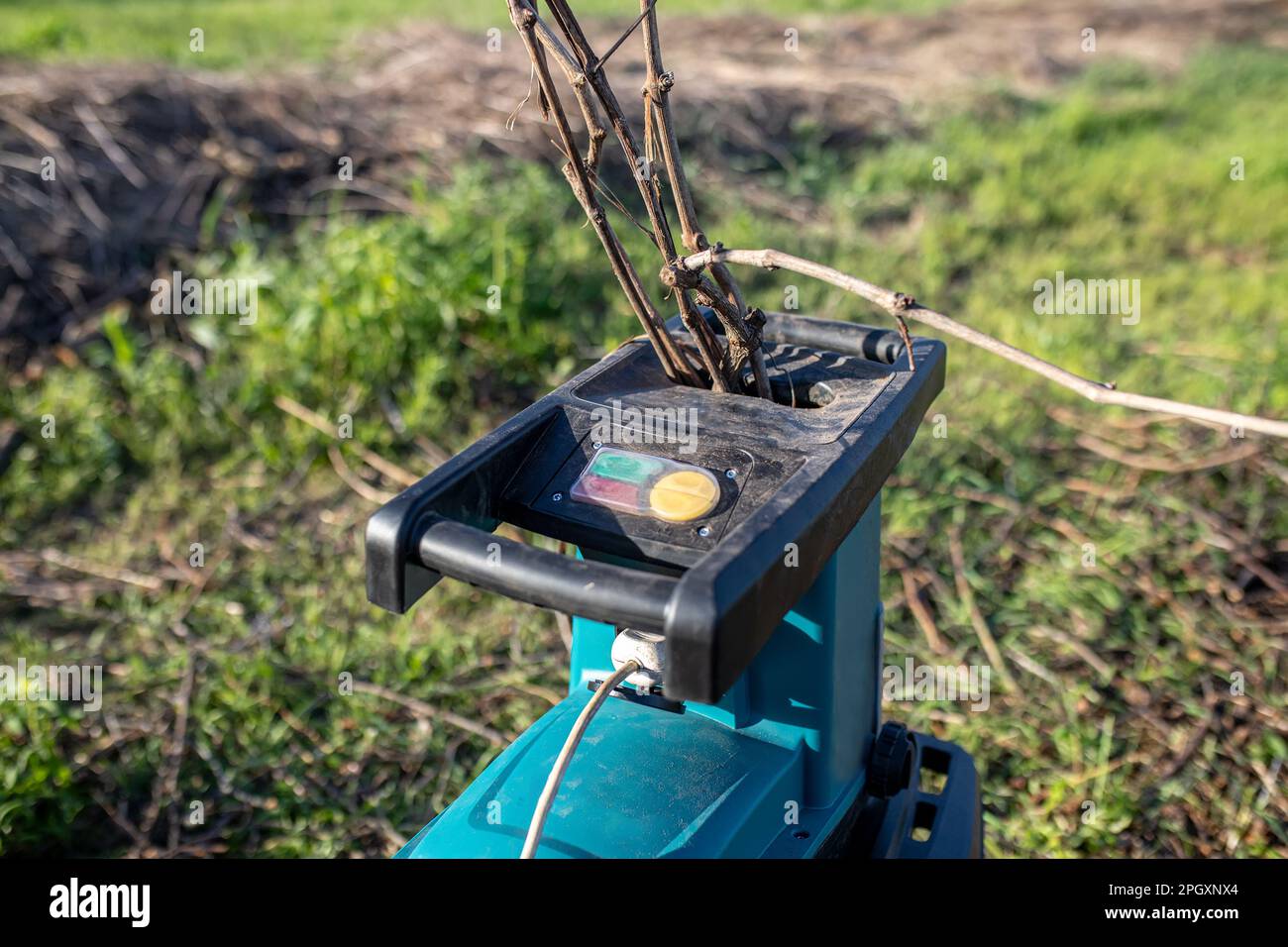 electric garden grinder to shred cut tree branches during spring cleaning Opposite a pile of dry branches in the garden after pruning trees. Stock Photo