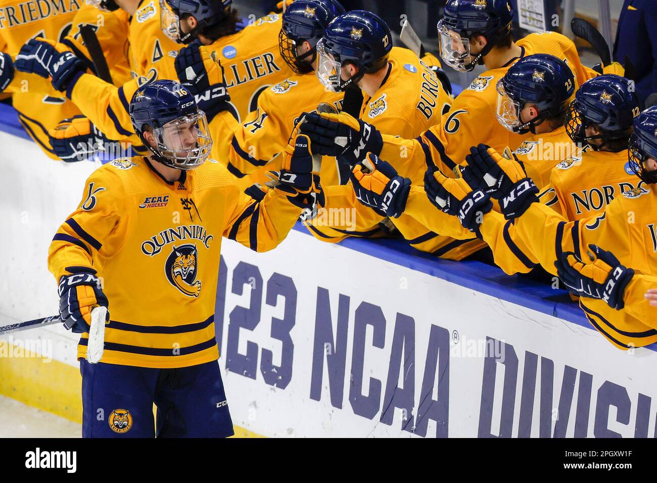 Quinnipiac forward Jacob Quillan (16) is congratulated for his goal
