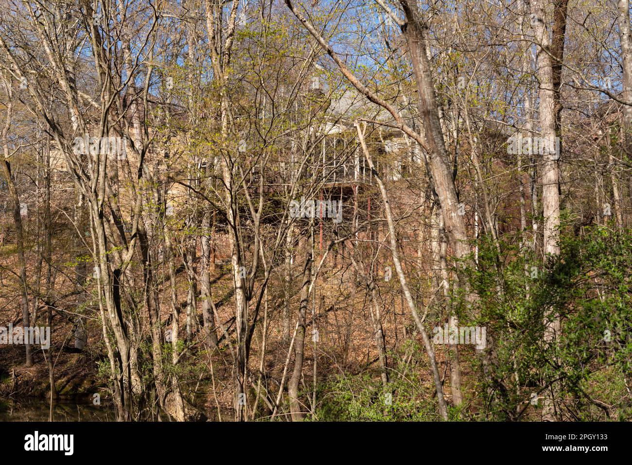Hidden mansion tucked into the woods, partially hidden from view. Real