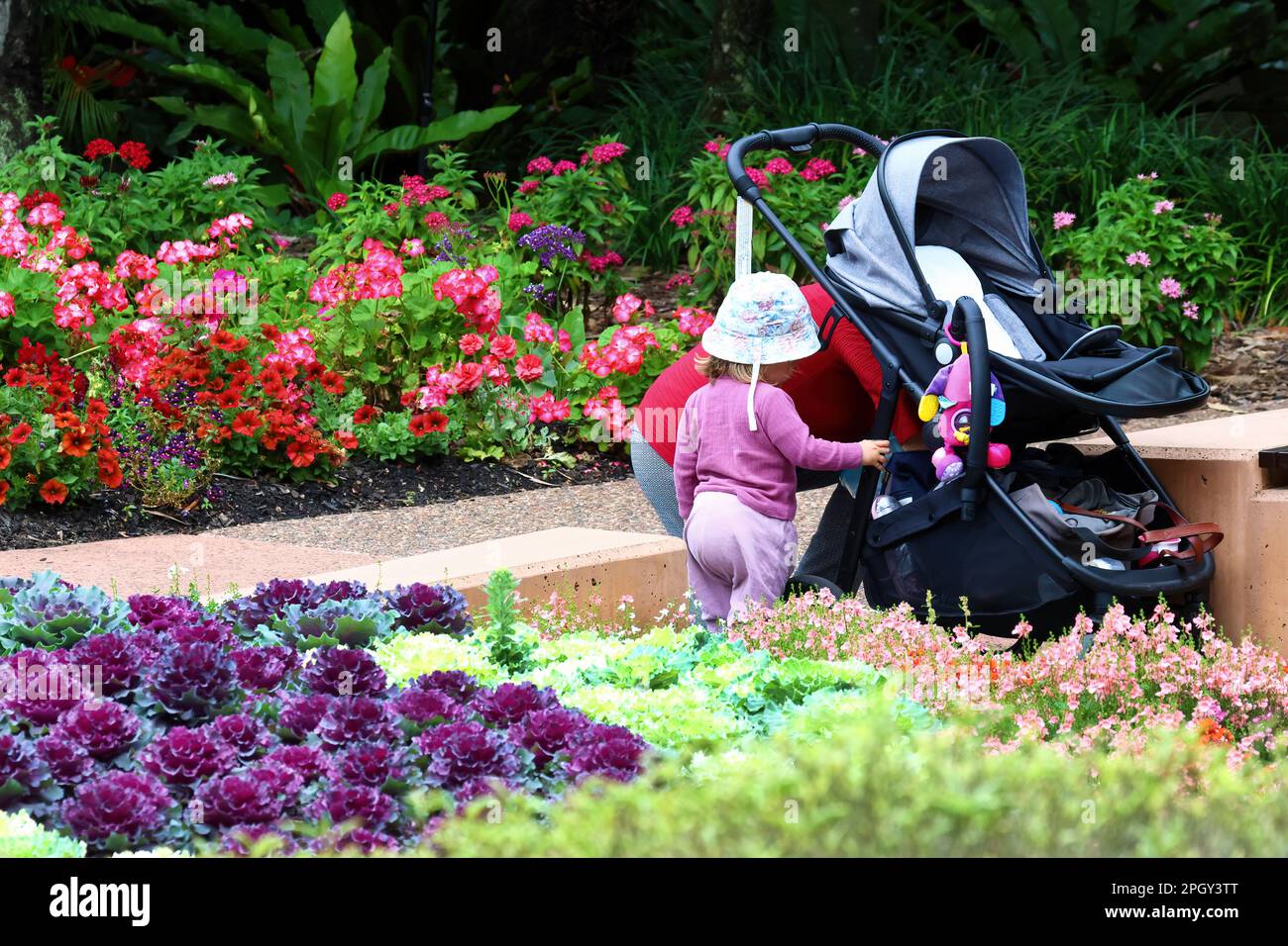 Photo of people doing things at the park together. mum and kid with stroller at the gardens. Stock Photo