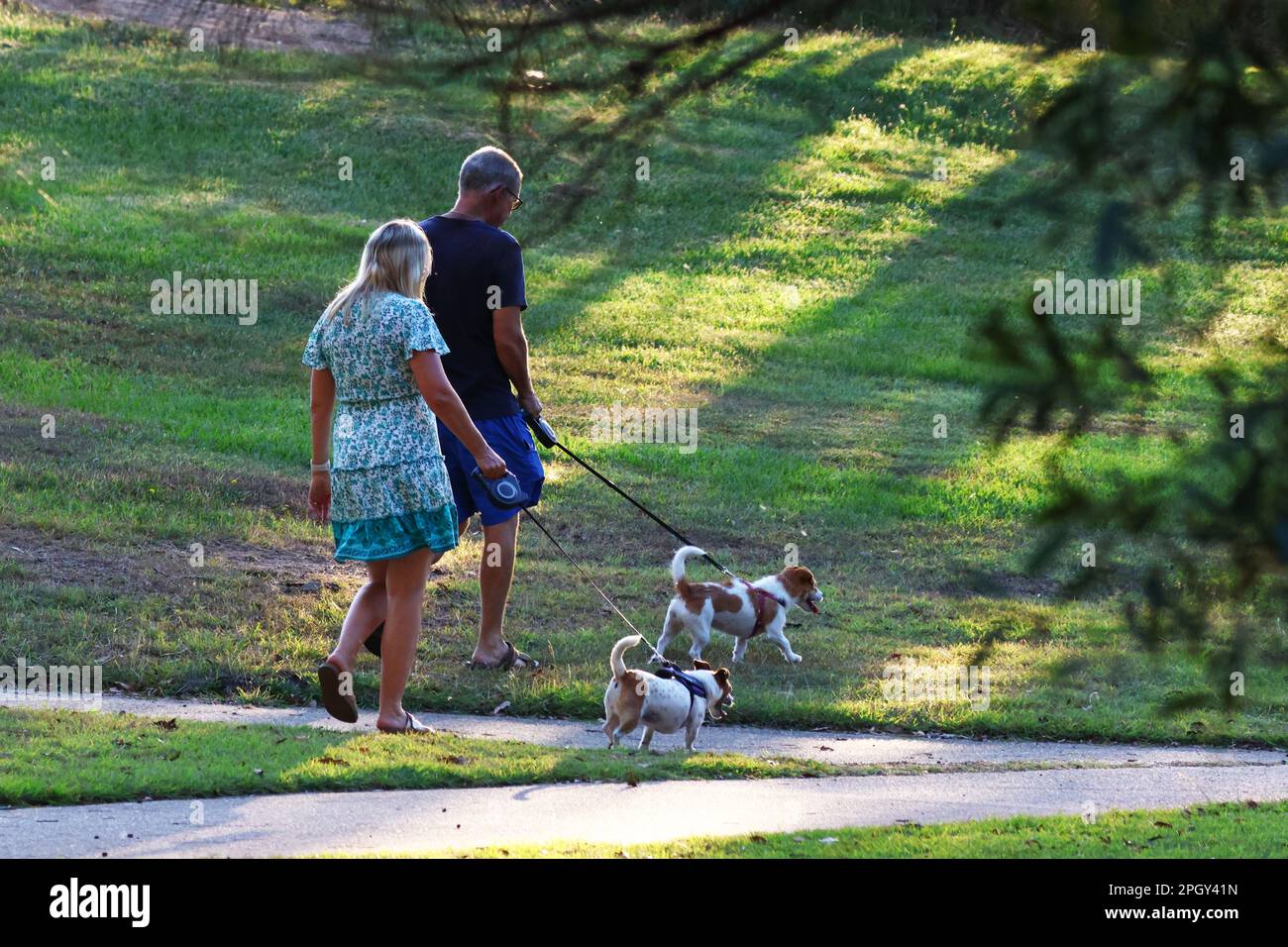 Photo of people doing things at the park together. Stock Photo