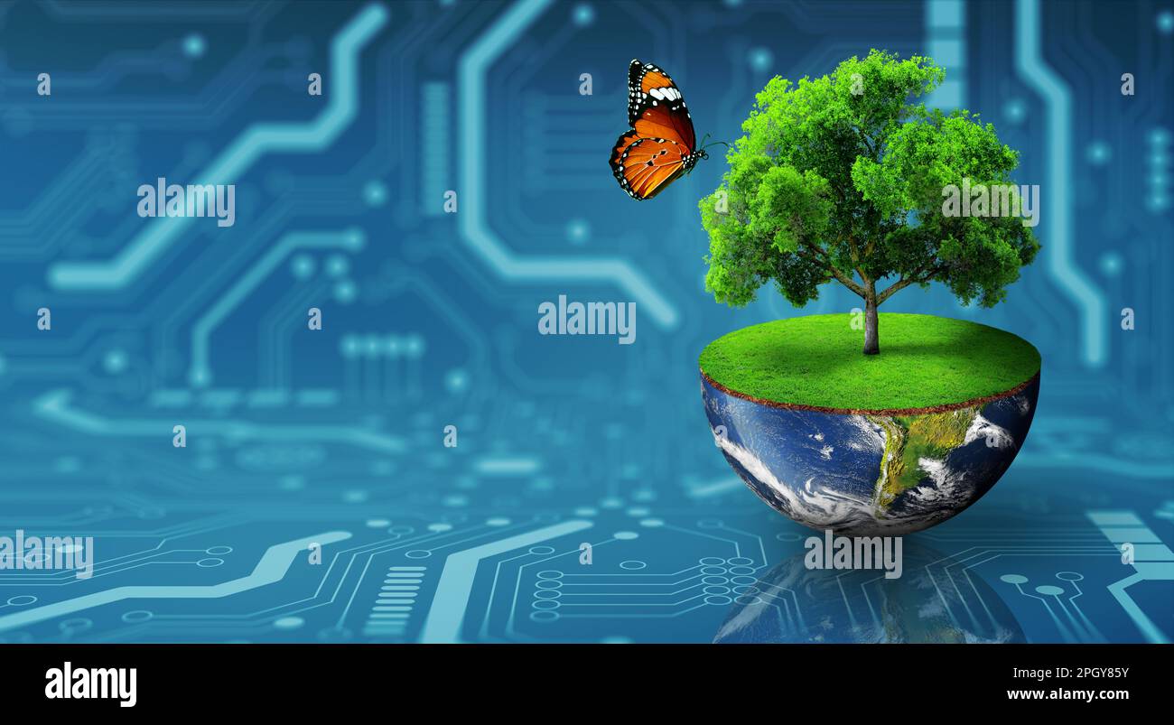 Tree growing on half of earth with green grass and butterfly. Digital and Technology Convergence. Green Computing, Green Technology, Green IT, csr. Stock Photo