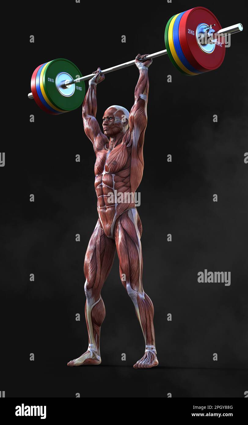 3d Illustration of a muscular man figures pose with skin and muscle map on dark background with clipping path, Concept of bodybuilder pose. Stock Photo