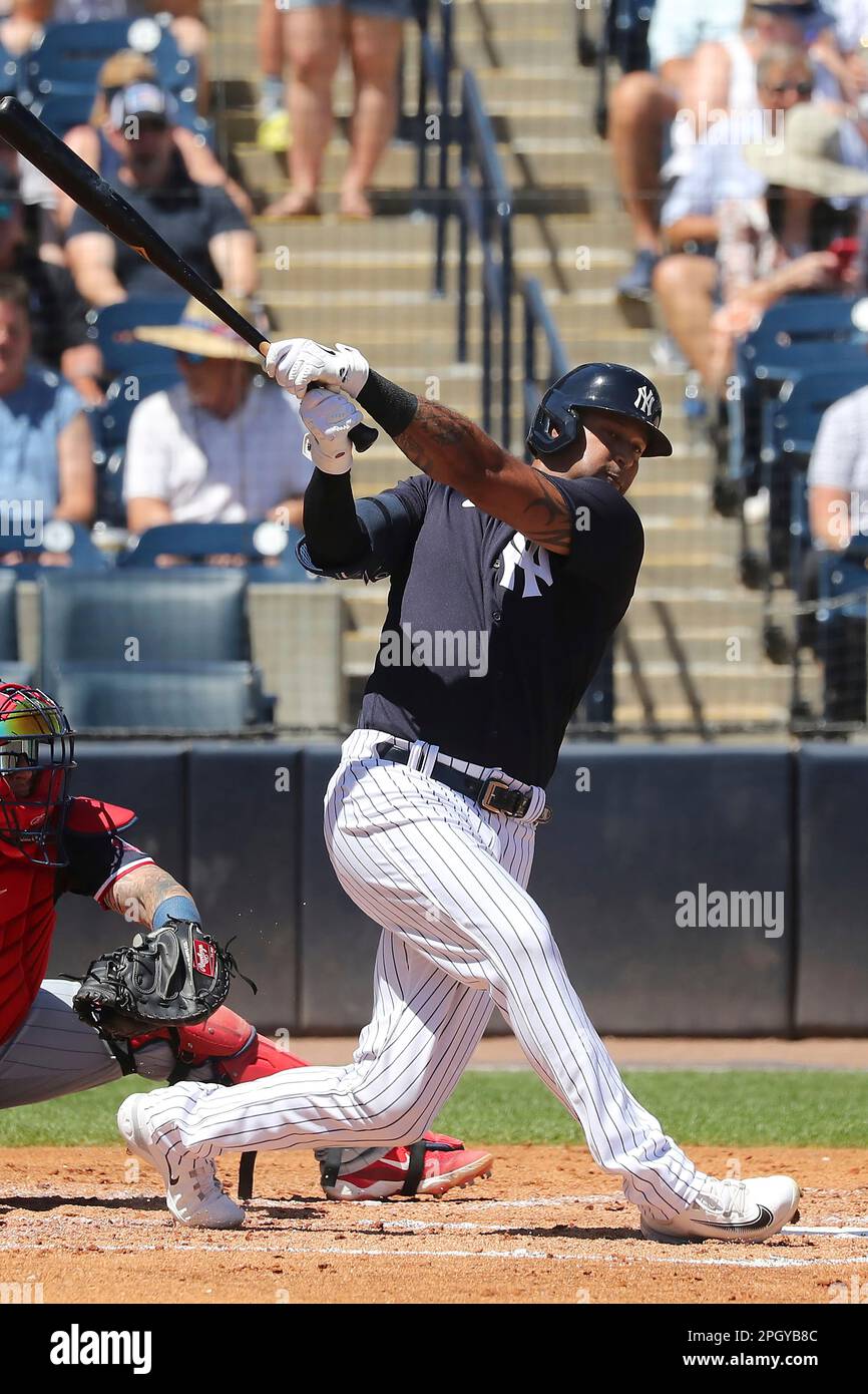 George M. Steinbrenner Field New York Yankees baseball spring training  stadium in Tampa Florida Stock Photo - Alamy