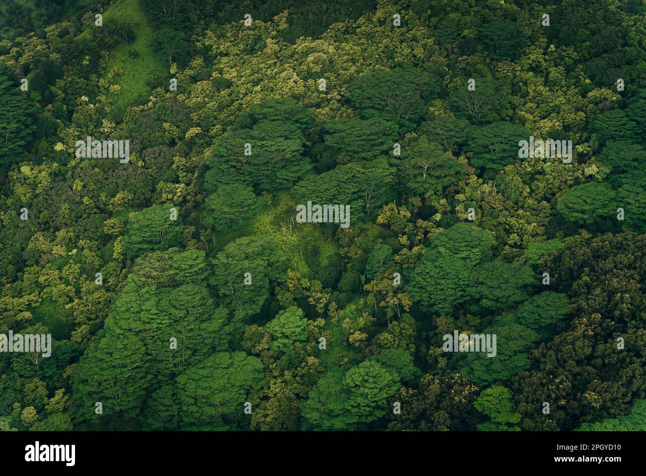 Map of kauai hi-res stock photography and images - Alamy