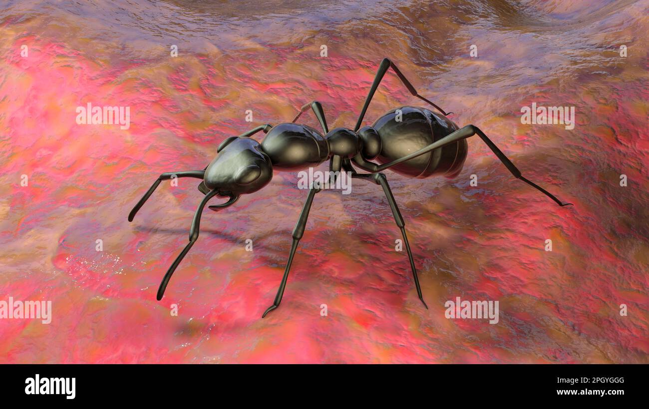 Ant, illustration Stock Photo