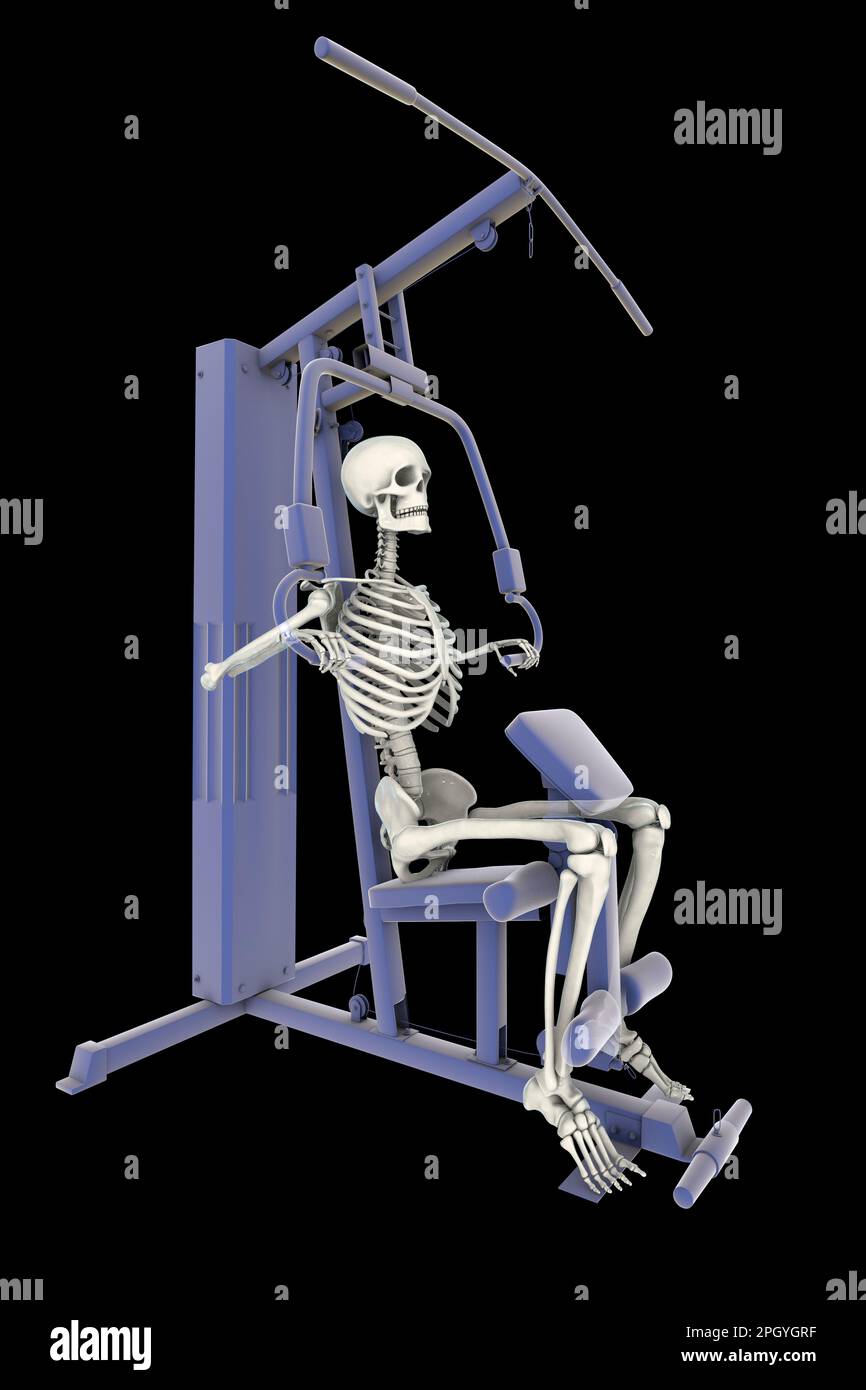 Skeleton training on a hammer strength machine, illustration Stock