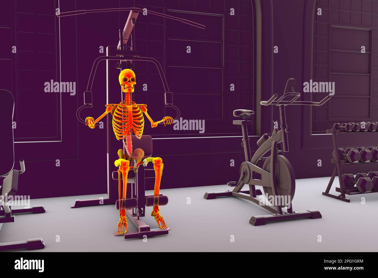 Skeleton training on a hammer strength machine, illustration Stock