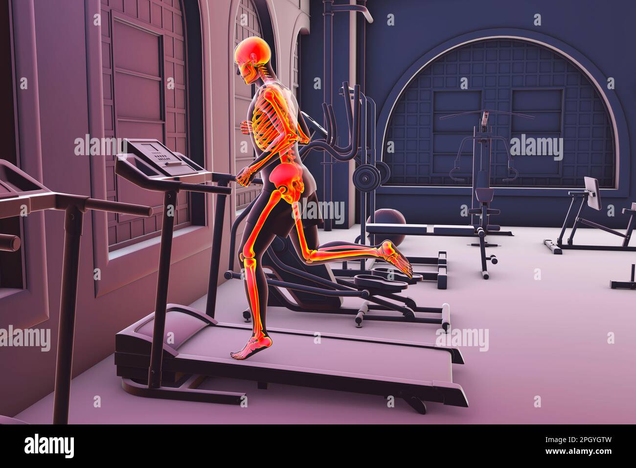 Skeleton Running On A Treadmill Illustration Stock Photo Alamy skeleton-running-on-a-treadmill-illustration-stock-photo-alamy