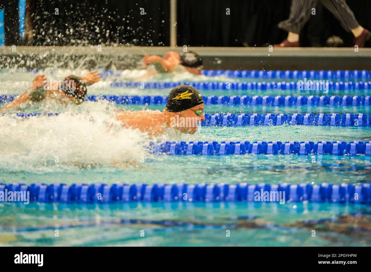 Minneapolis, Minnesota, USA. 24th Mar, 2023. ASU sophomore LEON MARCHAND swims in the 400 Individual Medley championship race at the 2023 NCAA Men's Swimming and Diving Championships in Minneapolis, Minnesota. Leon broke the record with a time of 3:31.57 (Credit Image: © Steven Garcia/ZUMA Press Wire) EDITORIAL USAGE ONLY! Not for Commercial USAGE! Stock Photo