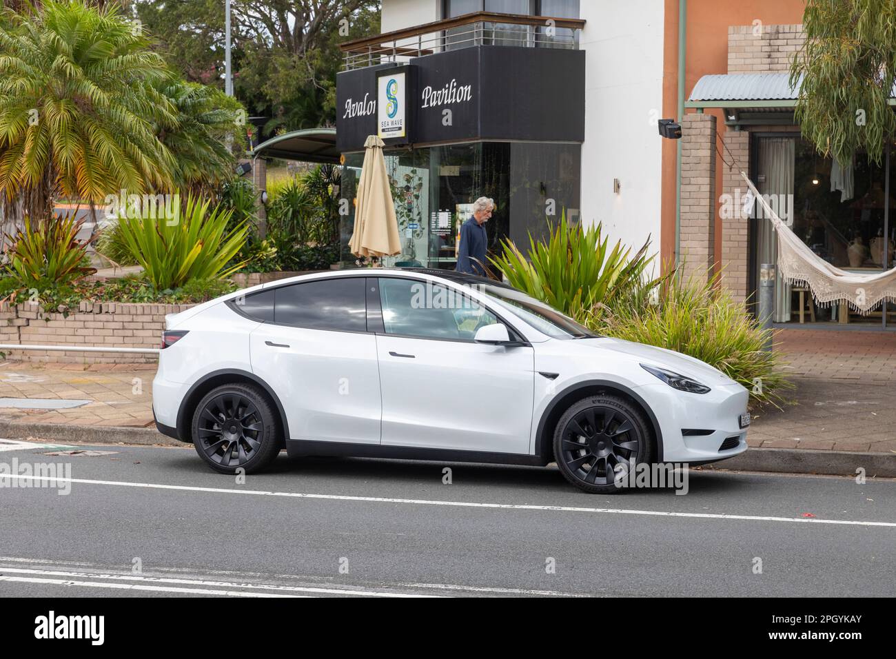 Tesla y 2024 white on white