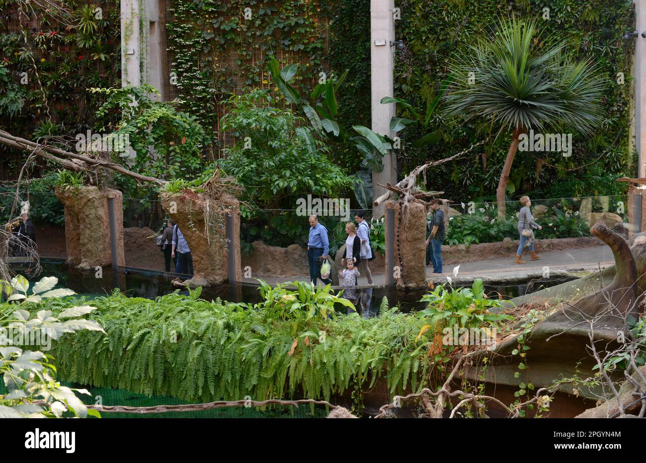 Silesian zoo hi-res stock photography and images - Alamy