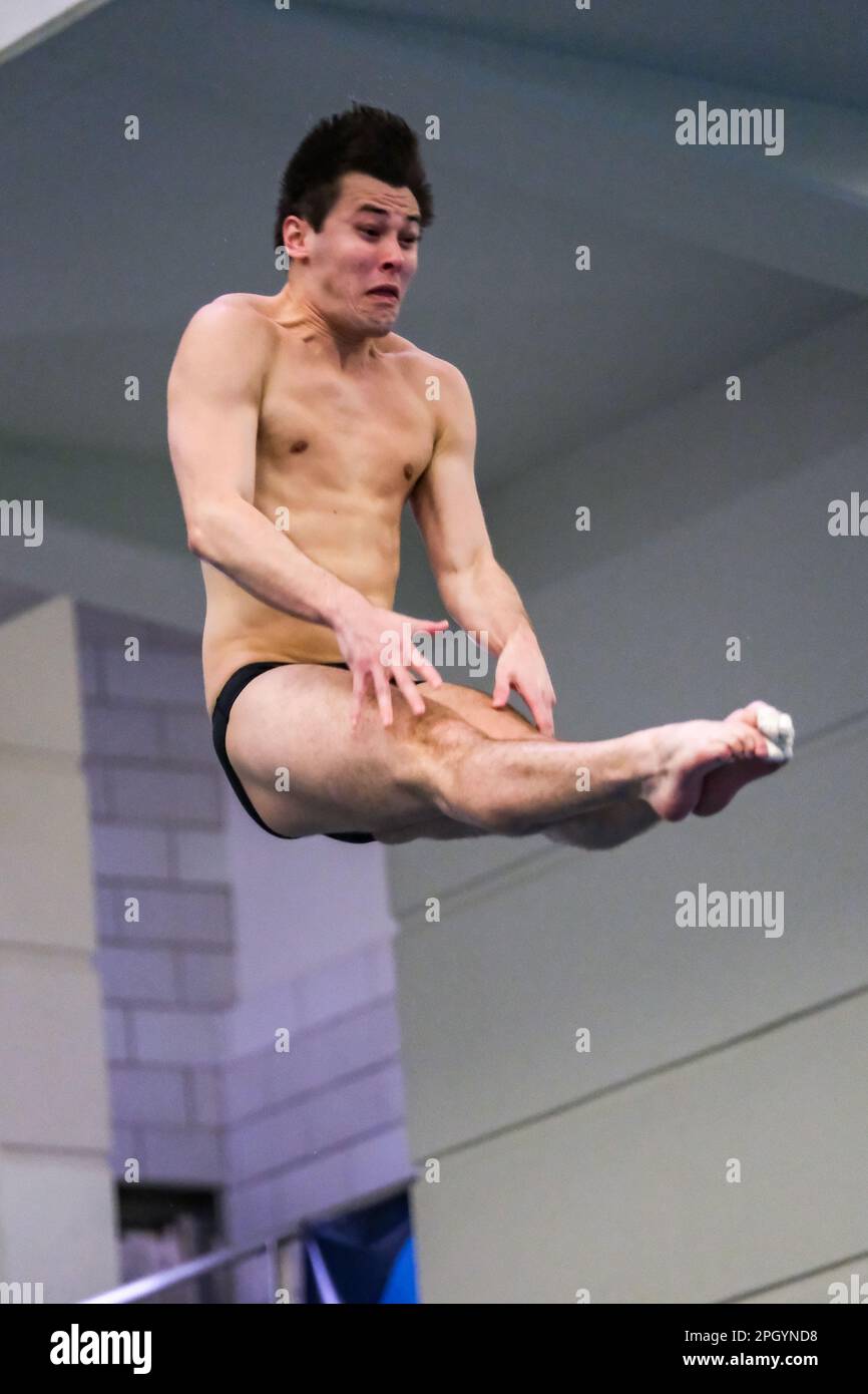 Ncaa mens swimming and diving championships hires stock photography